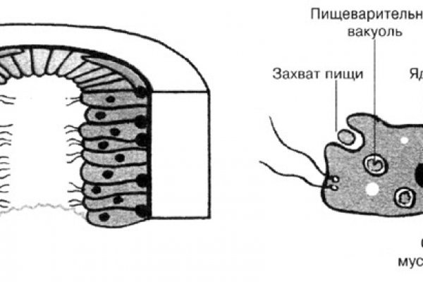 Kraken ем