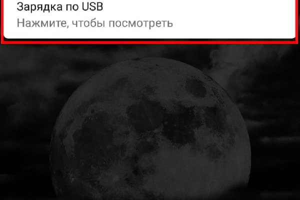 Ссылка на кракен в браузере