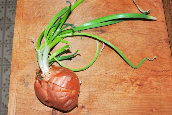Kraken tor onion зеркало
