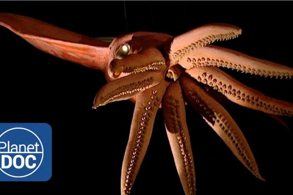 Kraken 12 at