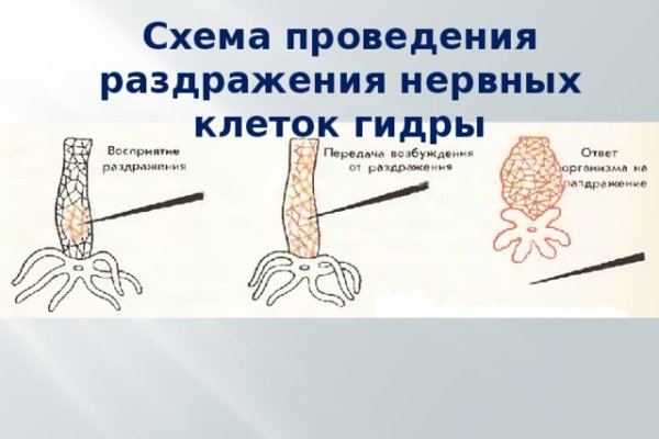 Кракен даркнет рабочая ссылка